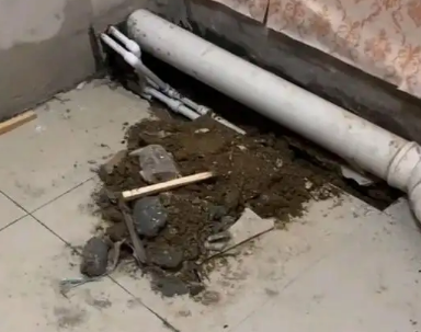 墨玉卫生间漏水检测哪家好